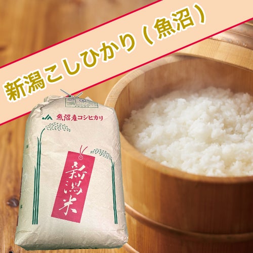 岐阜県飛騨こしひかり30kg 玄米 | 宮内株式会社
